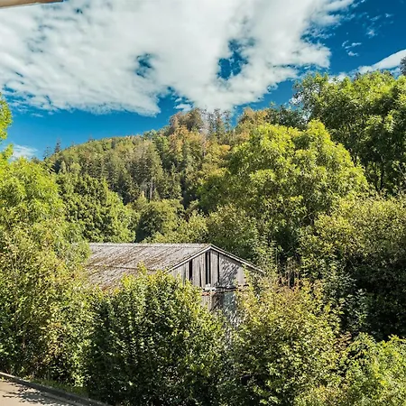 Apartment Modern Apartment In Schwalefeld With Garden Willingen (Upland)