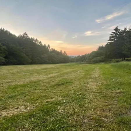 Apartment Modern Apartment In Schwalefeld With Garden