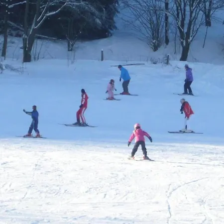 Modern Apartment In Schwalefeld With Garden Apartment Willingen (Upland)