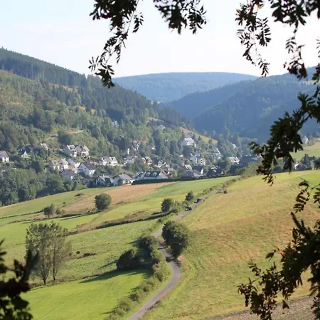 Apartment Modern Apartment In Schwalefeld With Garden Willingen (Upland)