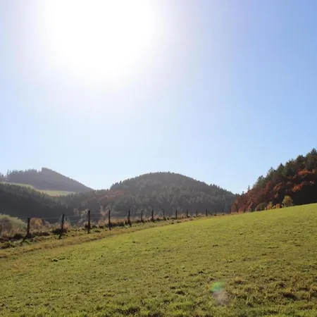 Modern Apartment In Schwalefeld With Garden Willingen (Upland)