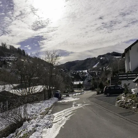 Modern Apartment In Schwalefeld With Garden Willingen (Upland)