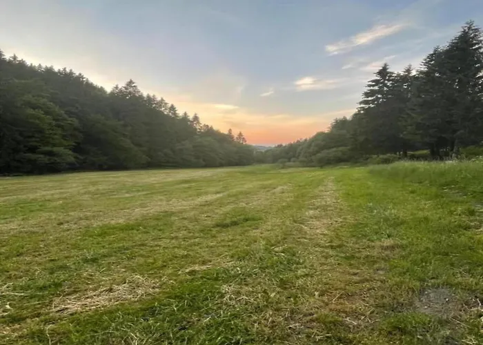 아파트 Modern In Schwalefeld With Garden