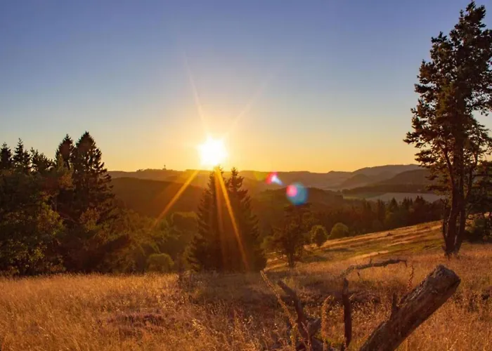 Modern In Schwalefeld With Garden * Willingen (Upland)