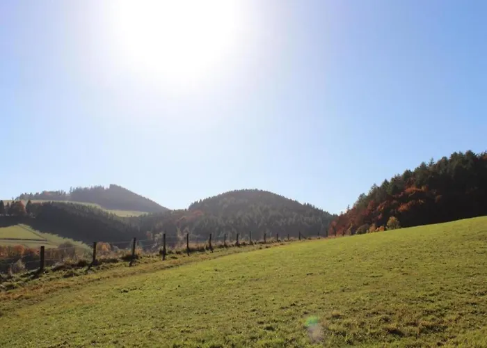 Modern In Schwalefeld With Garden 빌링겐