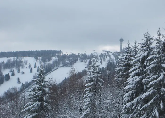 아파트 Modern In Schwalefeld With Garden 빌링겐