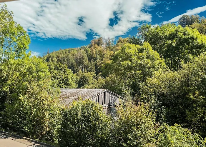 Modern Apartment In Schwalefeld With Garden
