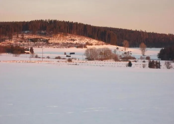 Modern Apartment In Schwalefeld With Garden Apartment *